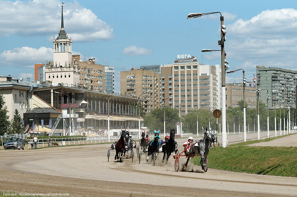 Ипподромы в москве