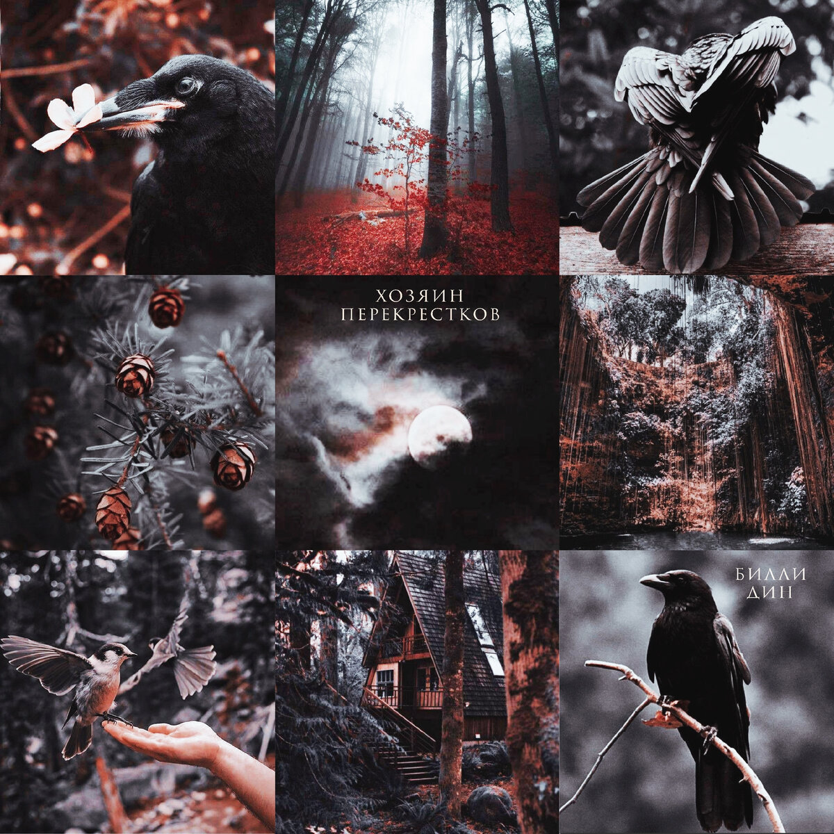 Чудесный визуал приобретён в мастерской коллажей. 