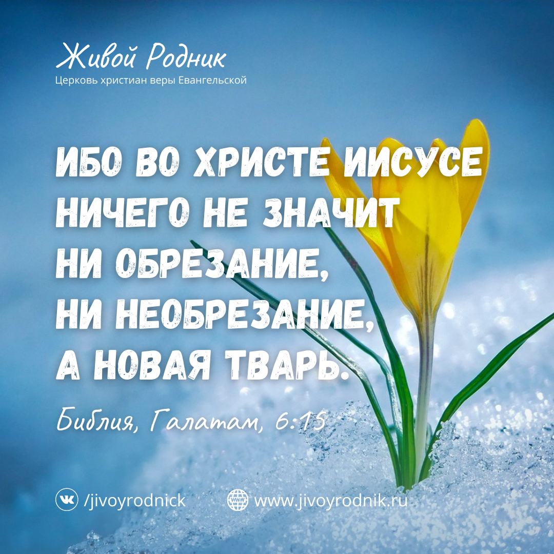 Древнее прошло теперь все новое. Ибо мы его творение созданы во христе иисусе. Ибо вы новое творение во христе. Новое творение во христе. Кто во христе тот новая тварь древнее прошло теперь все новое.