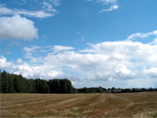 Маленькая деревенька Глушец.