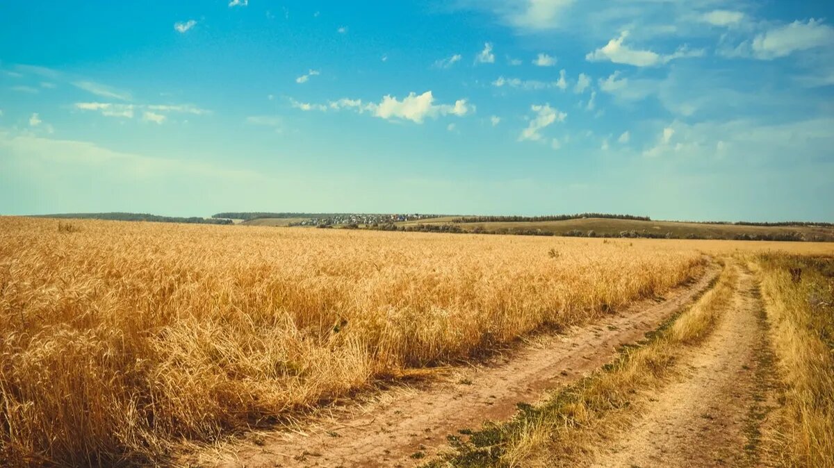 В этот день важно соблюдать все запреты. Фото: Pexels.com 