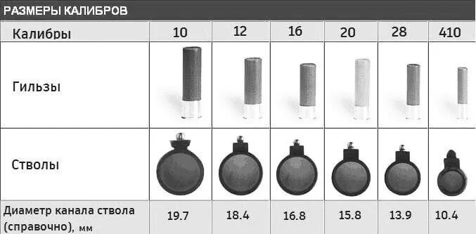 Калибры охотничьих ружей. Диаметр пули 12 калибра в мм. Диаметр ствола 12 калибра. Диаметр патрона 16 калибра в мм. Диаметр ствола 16 калибра.