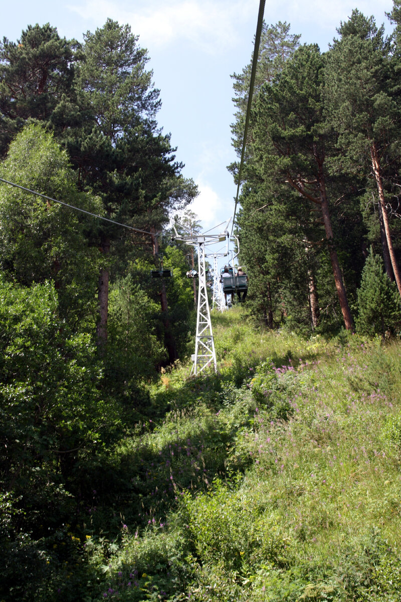 Первый подъемника поднимает Вас среди деревьев.