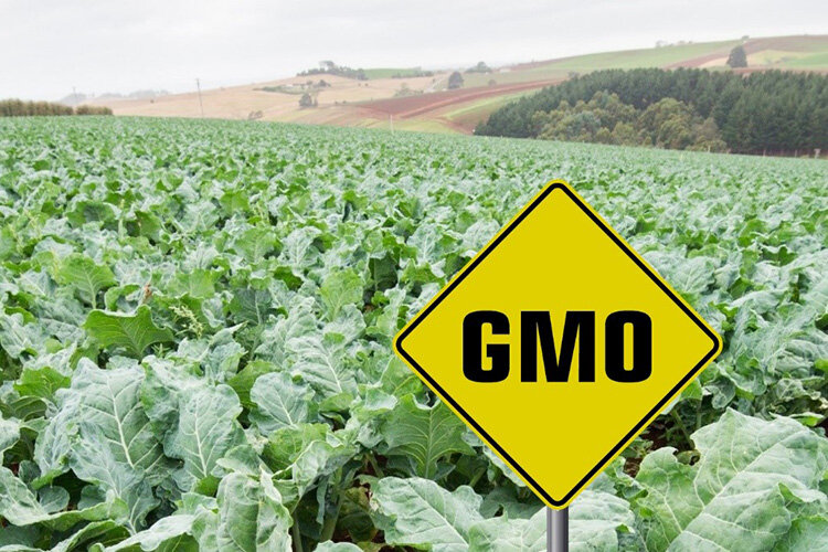 Источник: ipn.md