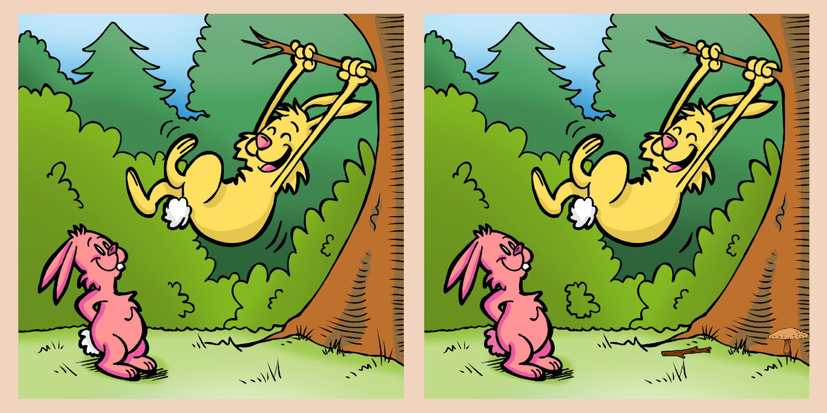  pixabay.com изменения автора