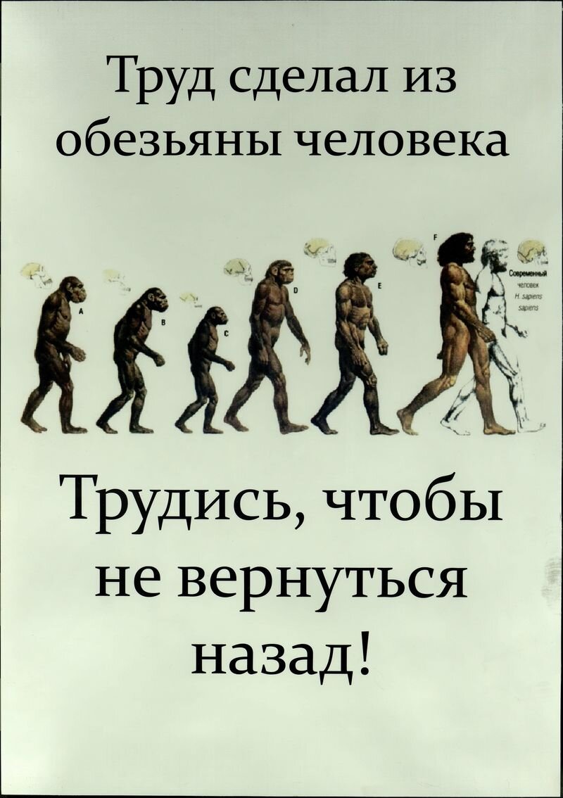 Труд ли создал человека? - Демократия.Ру