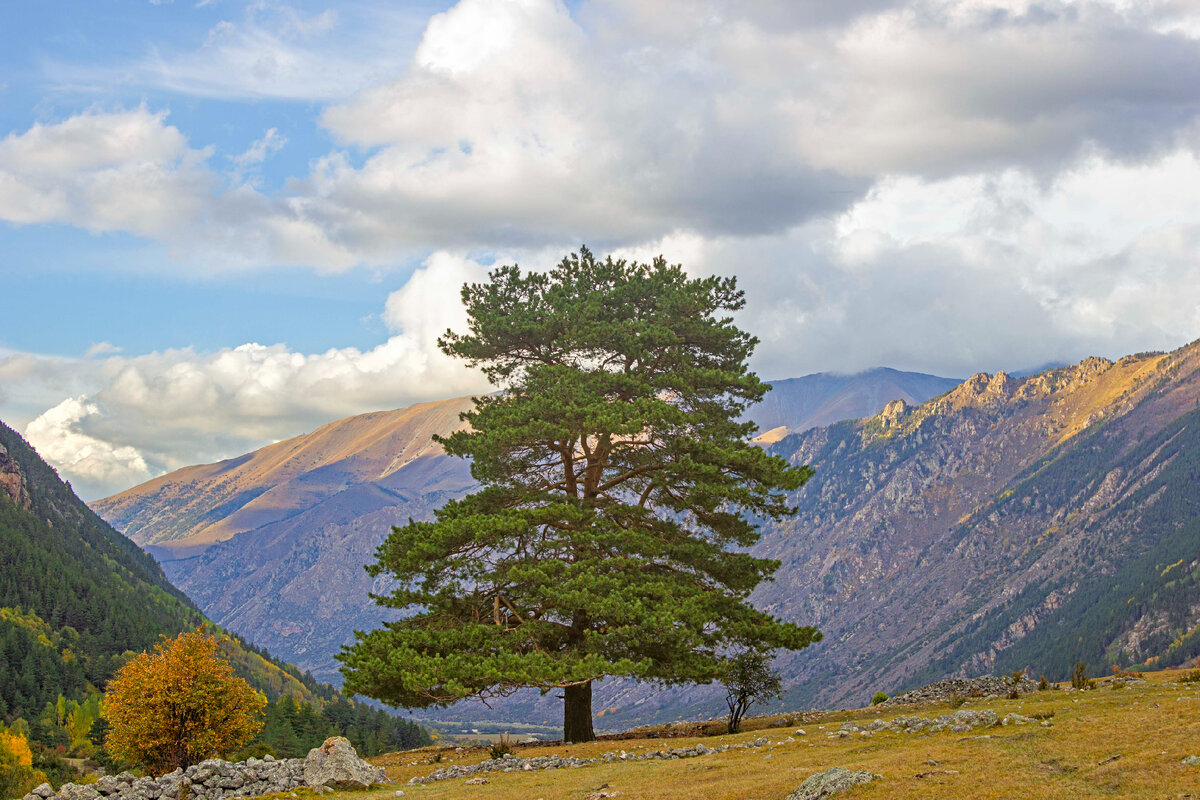 В долине реки Уллу-Кам 