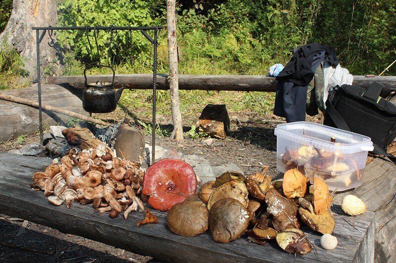 обычный походный день...