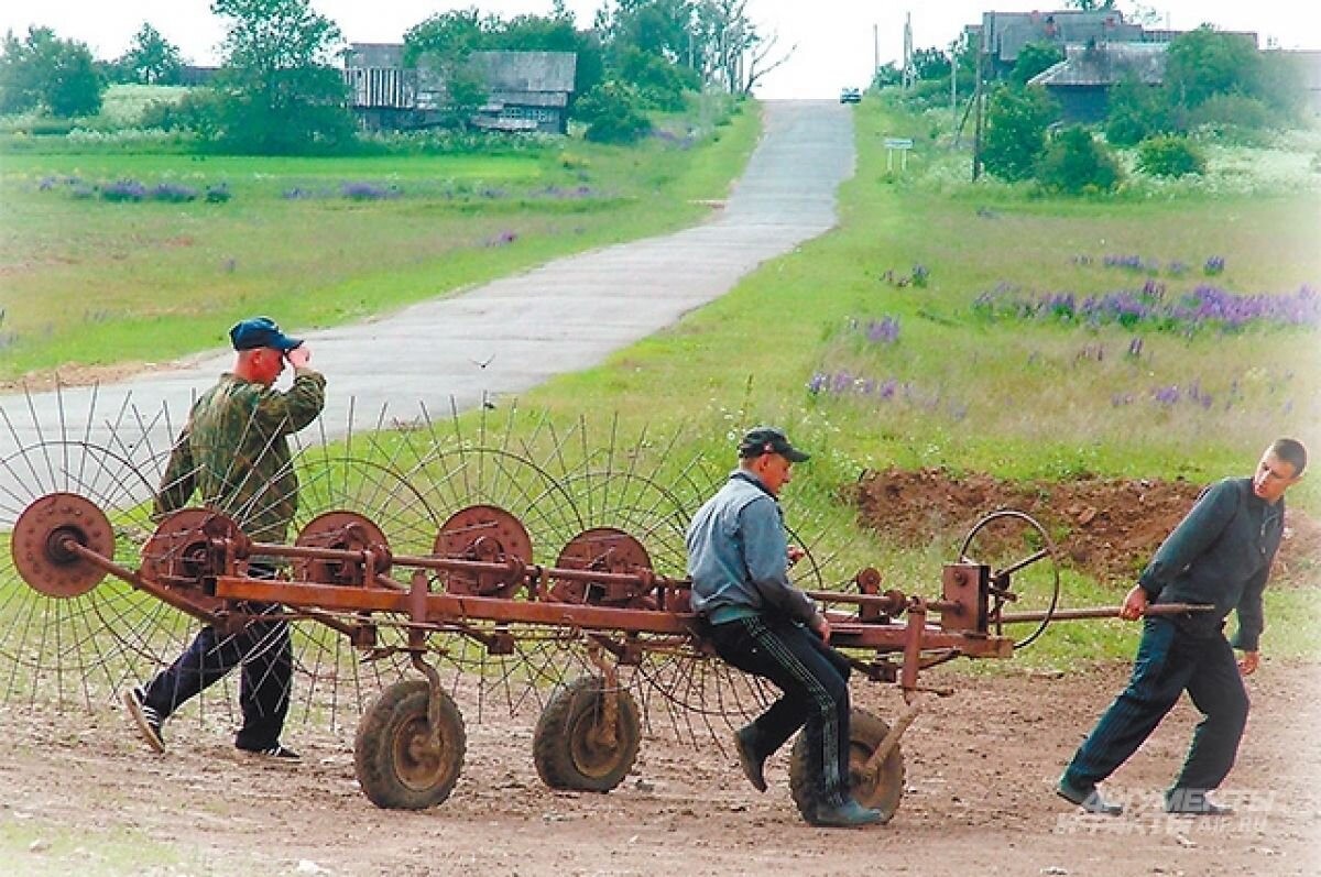    Агроклассы откроются в районных школах Татарстана