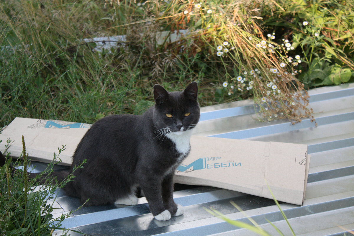 Всё, что приезжает домой — проходит мой строгий контроль! 2014 год.