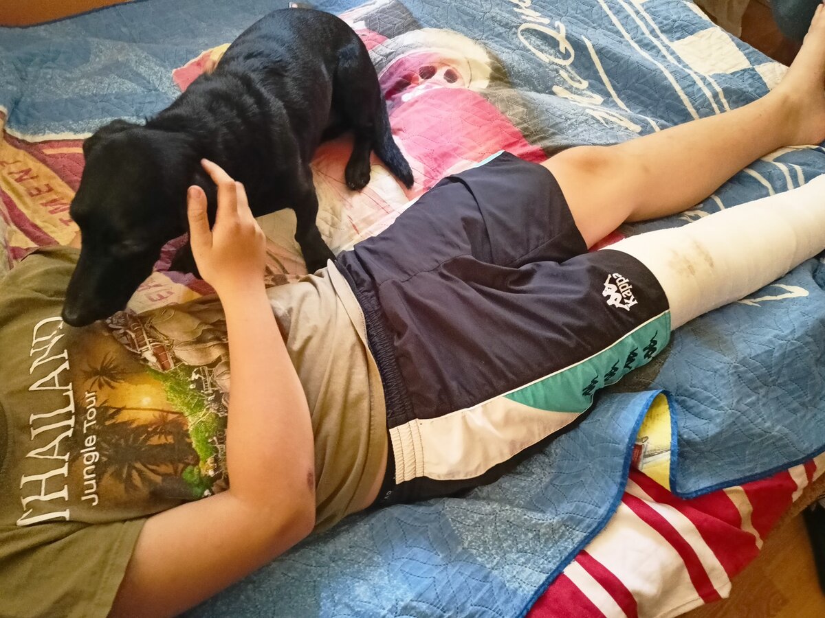 Боба - доктор безотрывно следит за своим пациентом