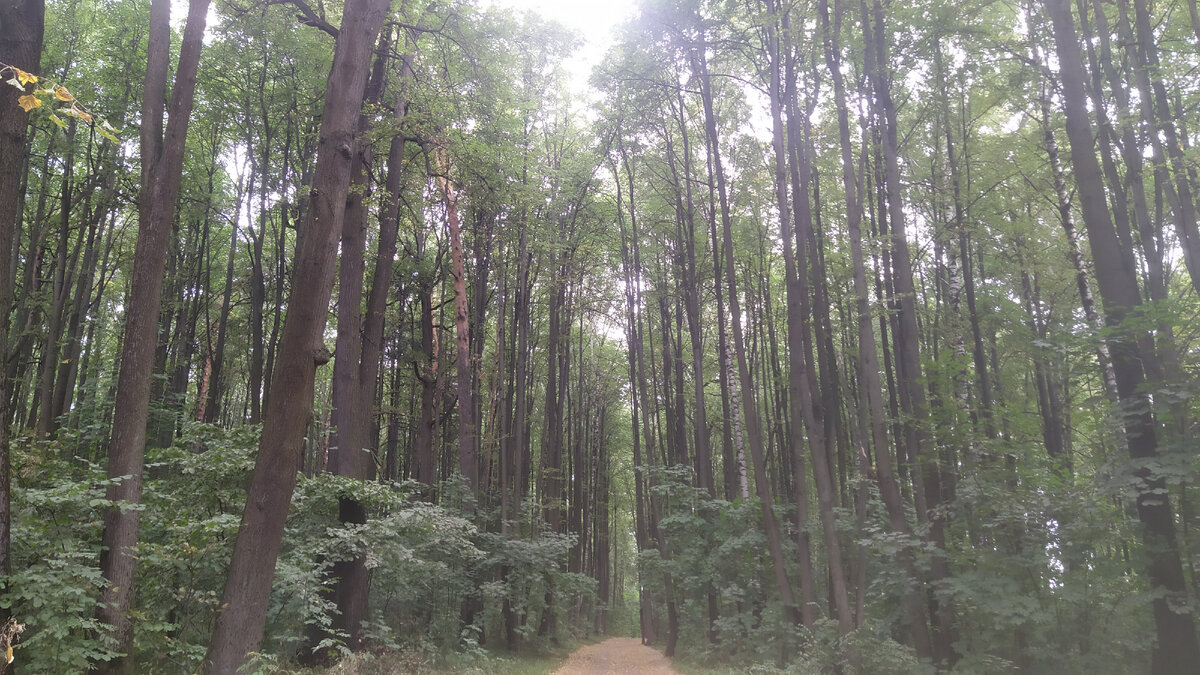 Прекрасное место