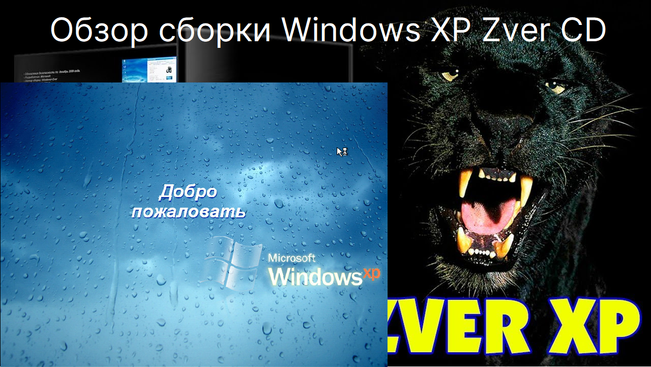 Обзор На Сборку Windows XP Zver CD | ArtOSik | Дзен