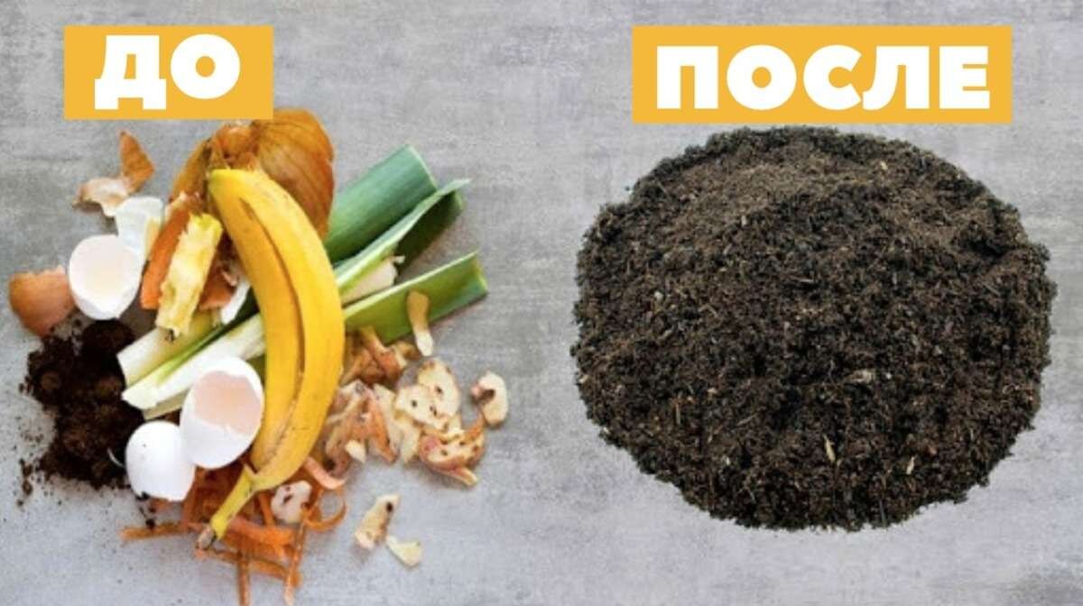 методы утилизации органических отходов. утилизация органики. переработка органики. биотермическое компостирование тбо. компостный завод.