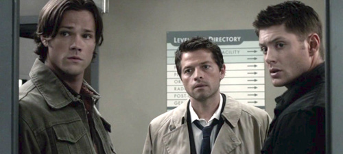 Фото из свободного источника