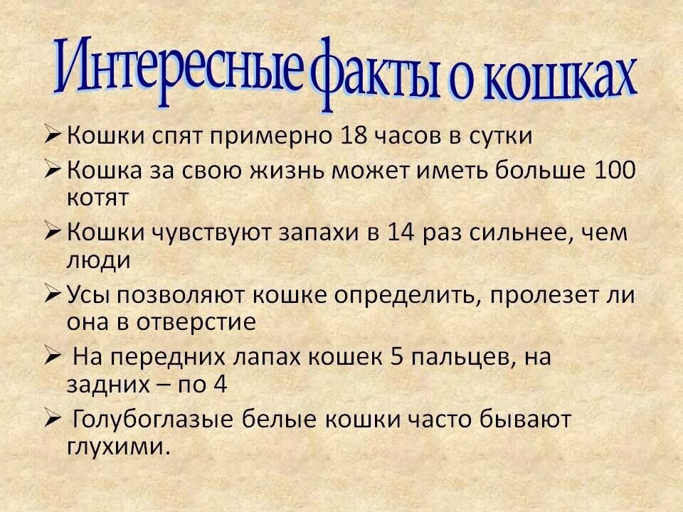 Интересные факты о планах