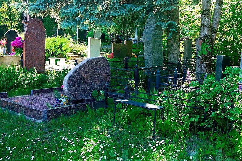 Фото из интернета