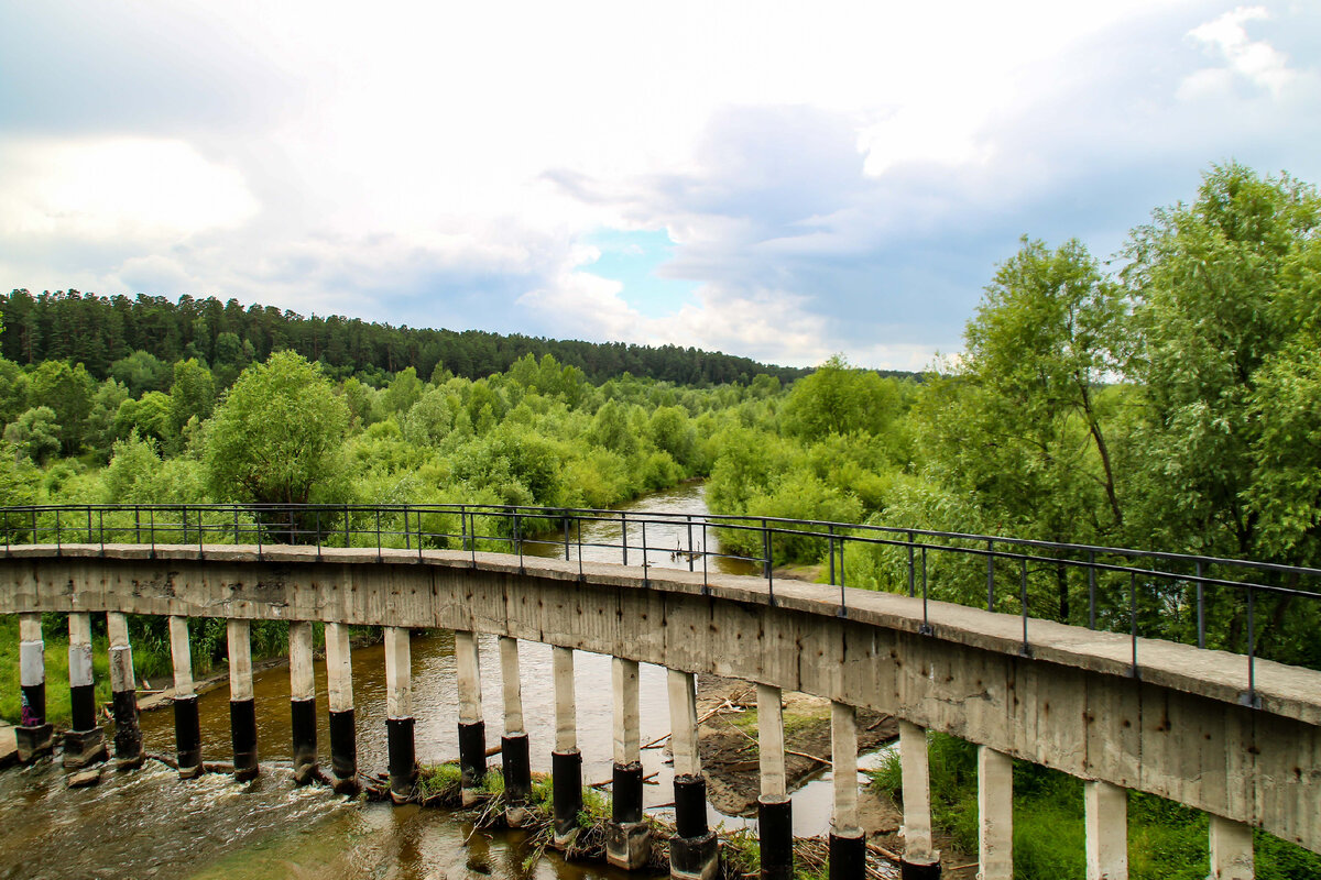 Лесное барнаул фото