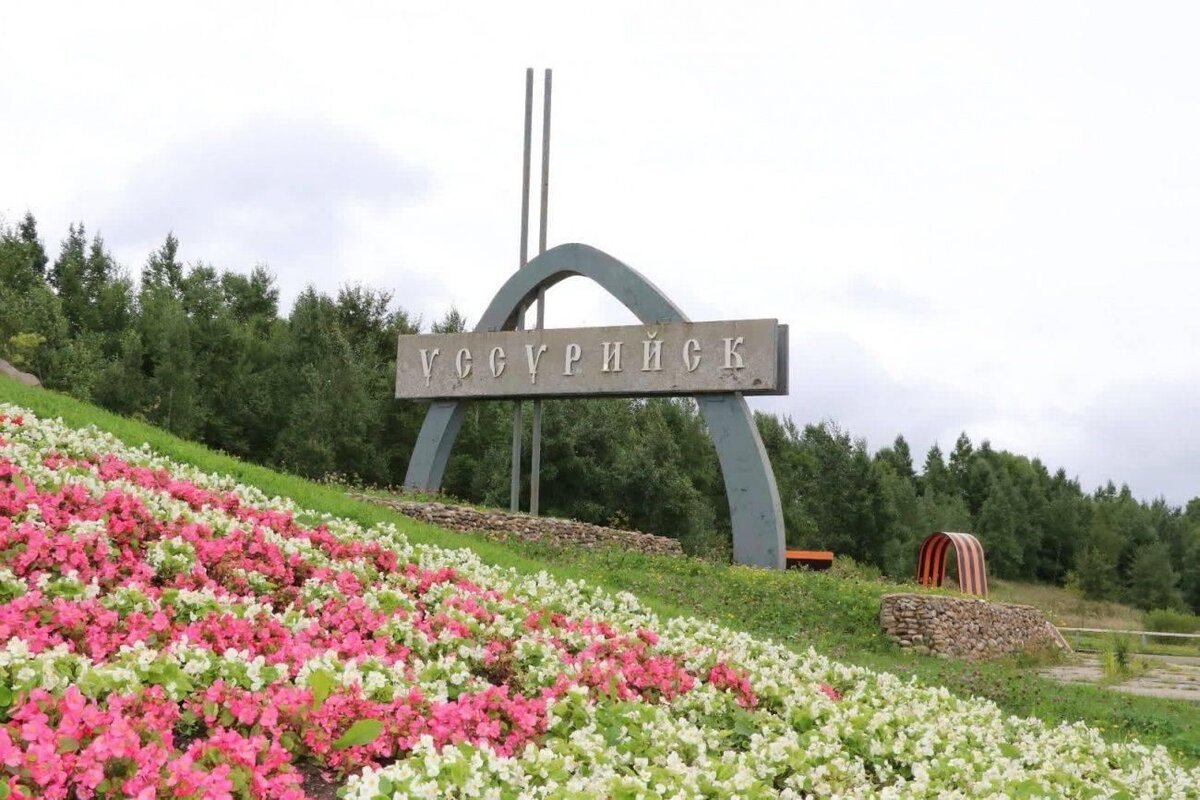 Яндекс. Картинки