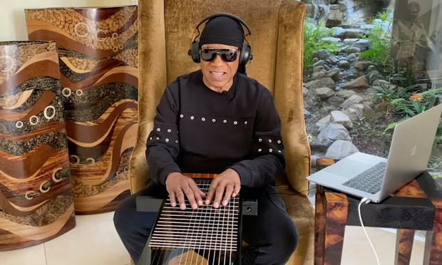 Стиви Уандер играет на своем харпеджи, фото: ABC/Getty Images