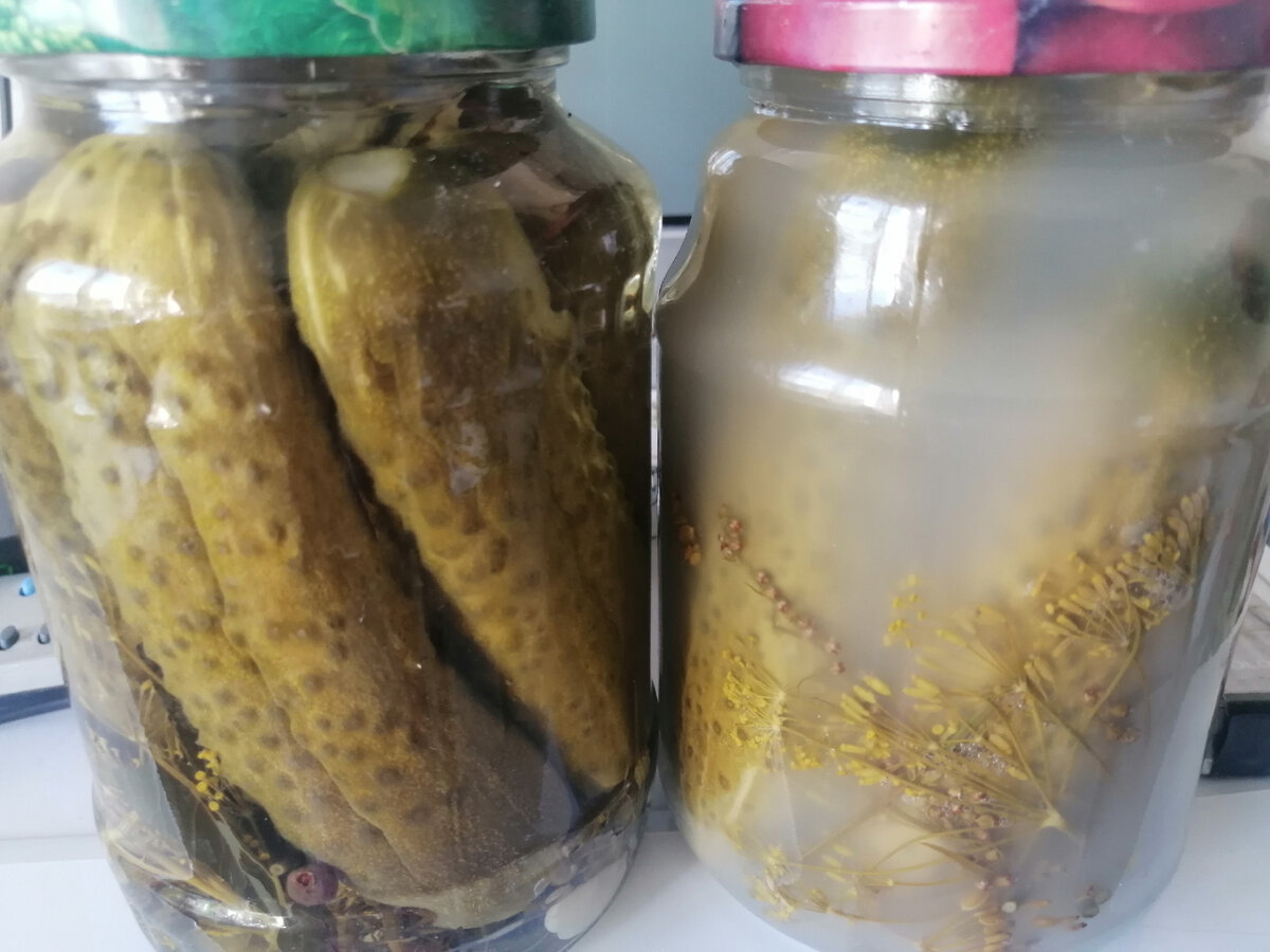 Огурцы в банке помутнели