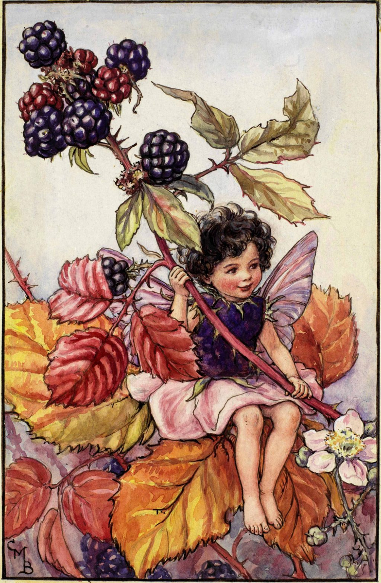 Фея ежевики работы Cicely Mary Barker