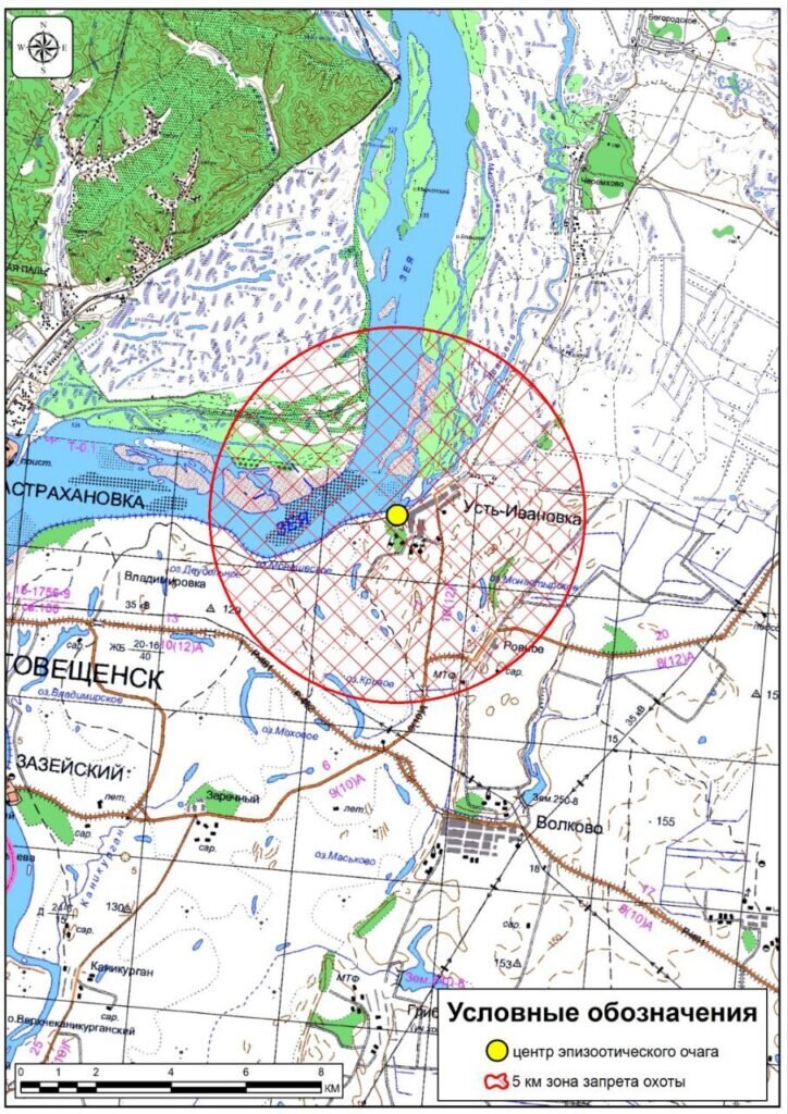    Фото: управление по охране животного мира Амурской области