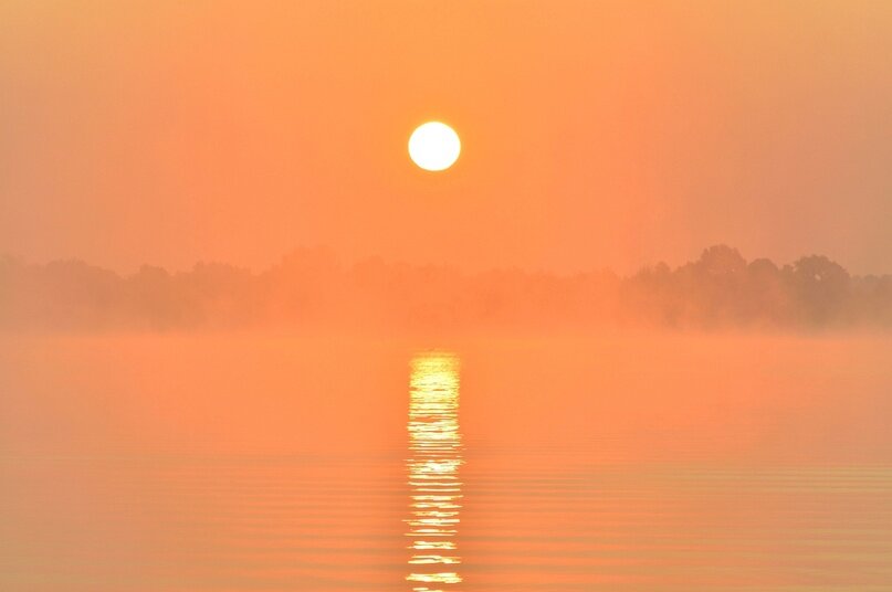 Фото Михаила Гута. Взято с его ленты Вконтакте mix_mix_gomel