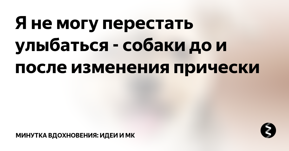 Минутка вдохновения