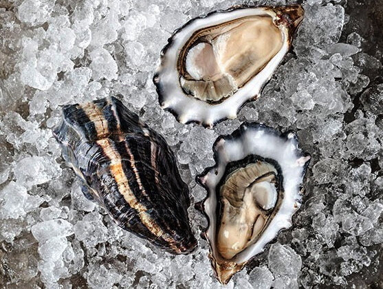 Устрицы Hog Island Sweetwater (www.oysterater.com)