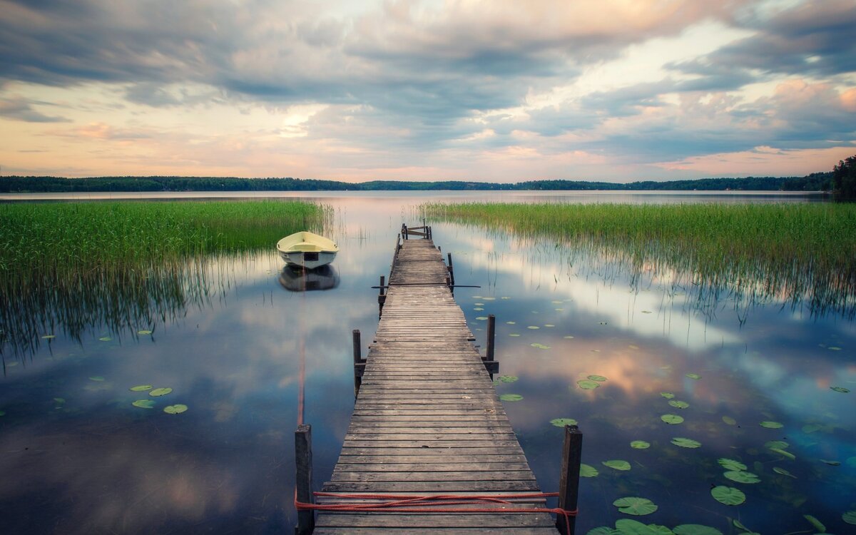 Фото взято с сайта: www.goodfon.ru