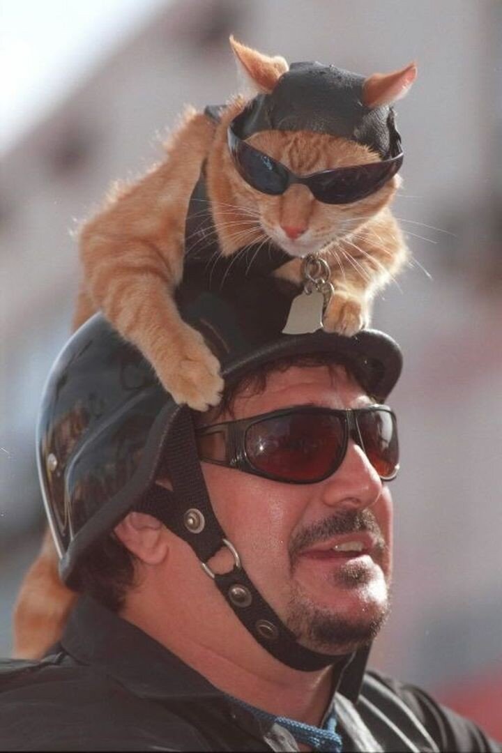 Когда мой папка купит себе мотик, мы тоже будем так круто с ним гонять по дорогам. 