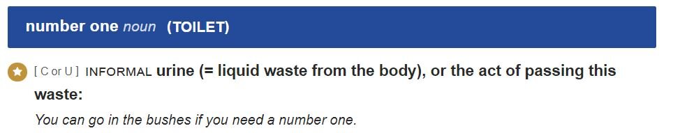 need A number one - если вам нужен "A number one", вам нужно сходить в туалет "по-маленькому" 