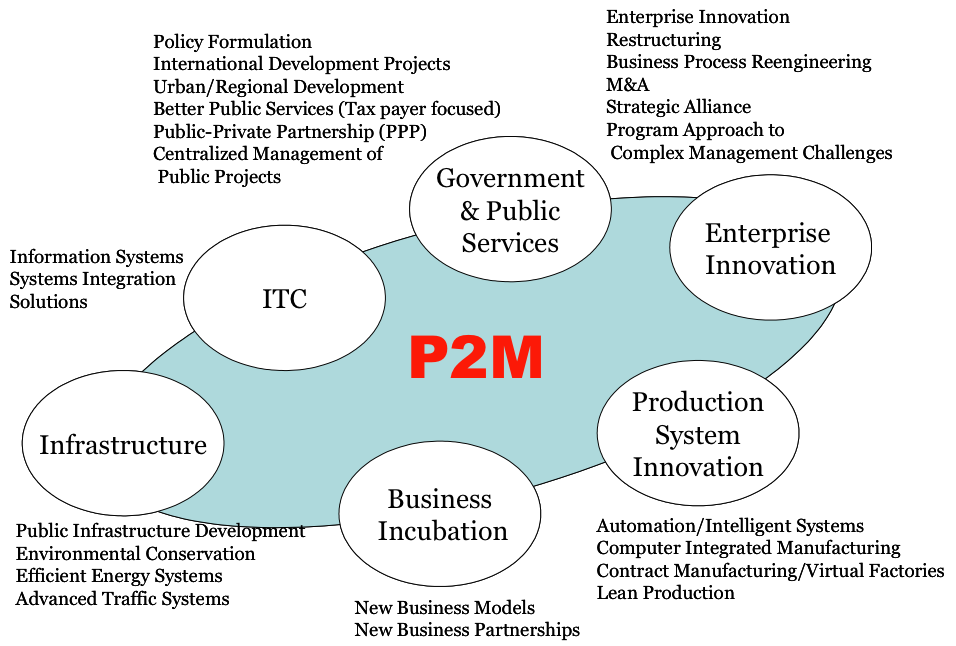 M p p project. Стандарт управления проектами p2m. Графическое представление стандарта p2m. P2m японский стандарт. P2m управление проектами.