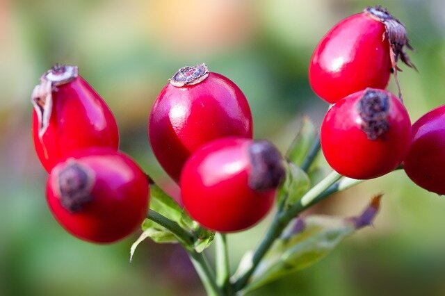 Ученые считают витамин К ответственным за долголетие. Фото pixabay.com