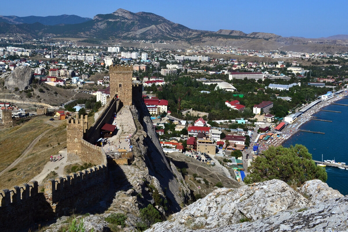 Фото из Яндекс Картинки.