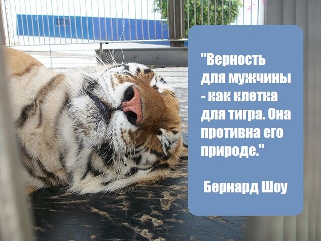 Источник фото: https://pixabay.com