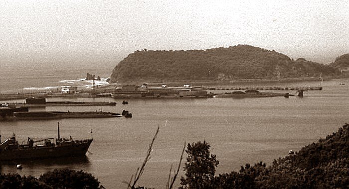 База атомных подводных лодок в бухте Павловского.