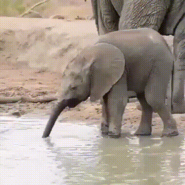 Правильно, зачем заморачиваться?!