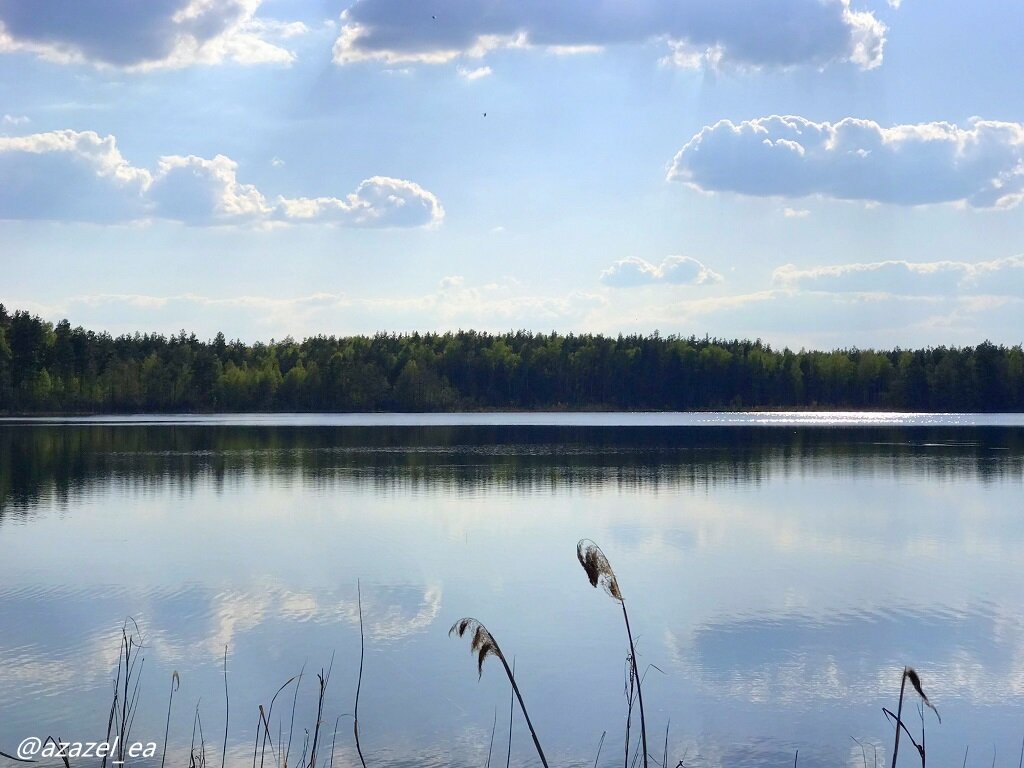 Белое озеро Ленинградской городское поселение