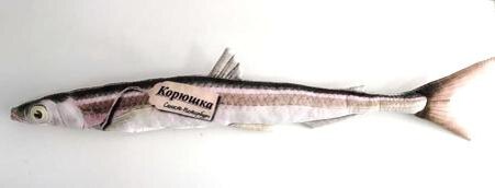 Фото из открытого источника.