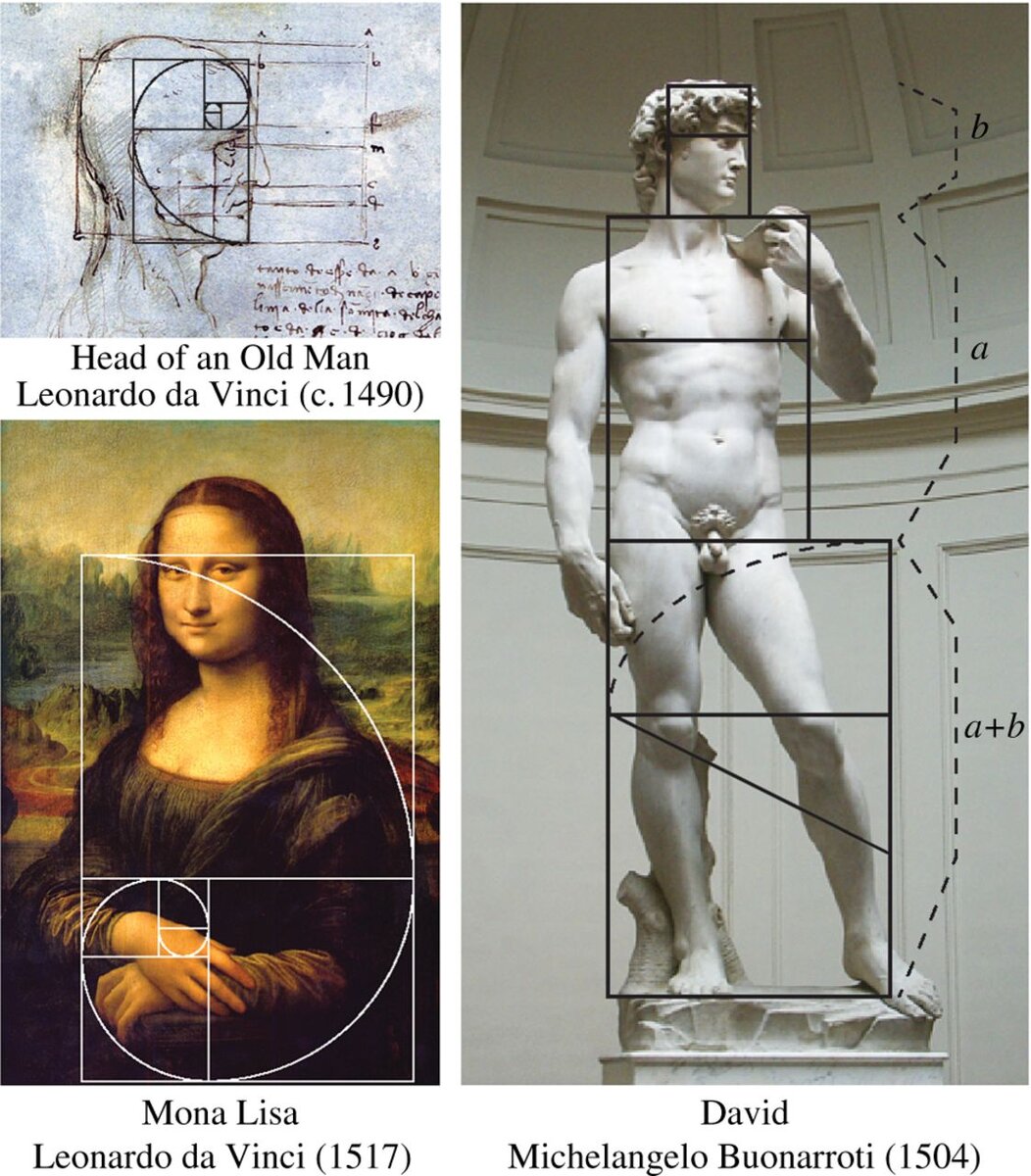 Золотое сечение в картинах Леонардо да Винчи