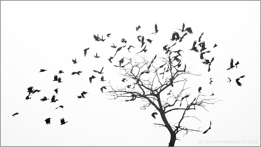 Крым. Симферопольский р-он. 