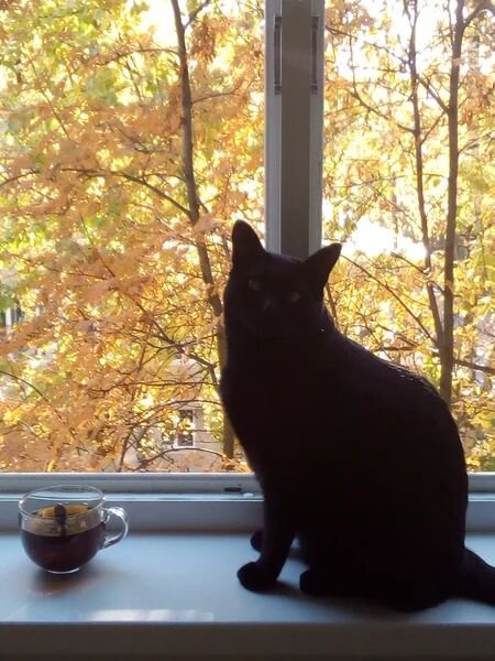 - Ущипните меня, что опять осень?!
