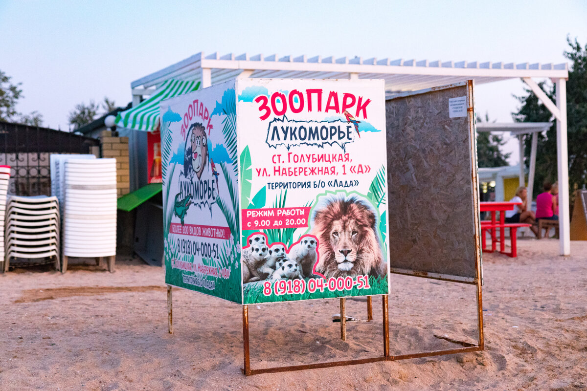 Пляж в Голубицкой. Азовское море. Минусы и плюсы | Записки на коленке | Дзен