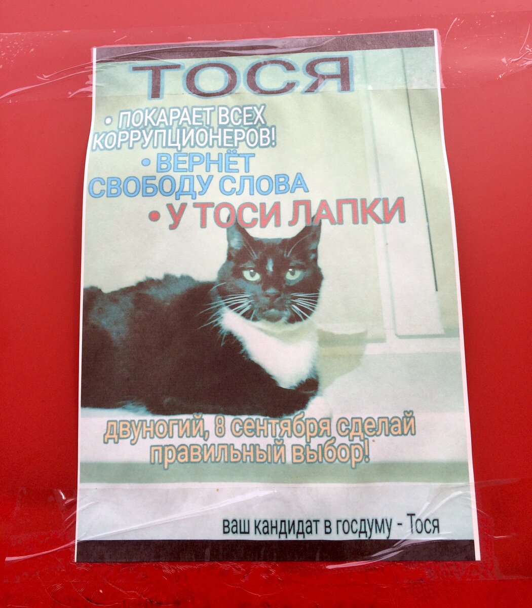Стена "Спара" на ул. М.Горького