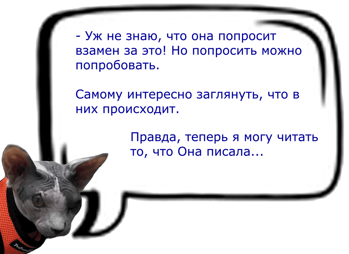 (Кошачьи диалоги)