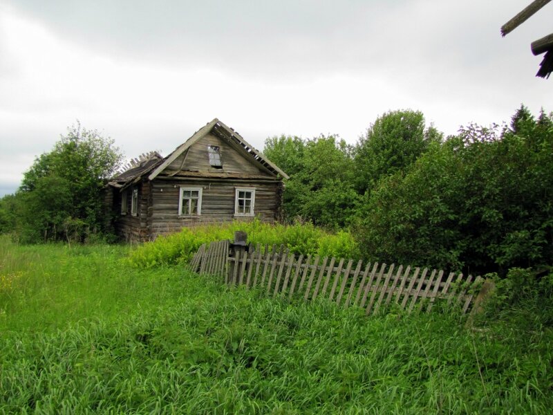 Дом в деревне новгородское. Деревня Тидворье в Новгородской области. Заброшенные деревни Новгородской области. Заброшенные деревни Крестецкого района Новгородской области. Заброшенные деревни Новгородской области Поддорский.