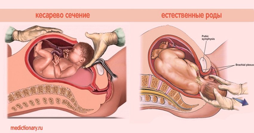 Вы точно человек?