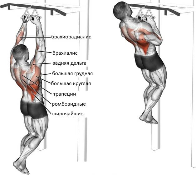 Подтягивания нейтральным хватом